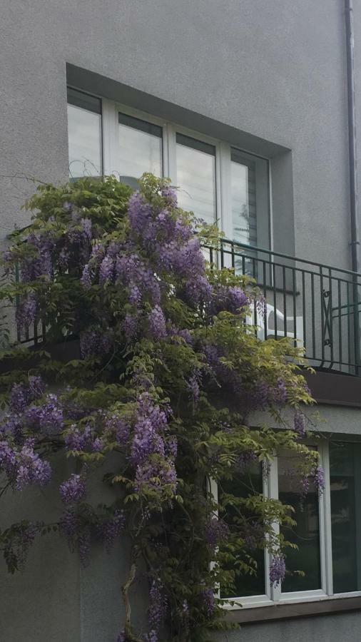Willa Przy Plazy Gdynia Kamienna Gora Esterno foto